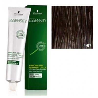 ESSENSITY 4-67 TINTE
