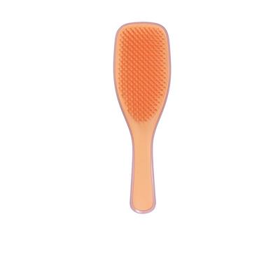 DETANGLING HAIRBRUSH APRICOT ROSEBUD TT
