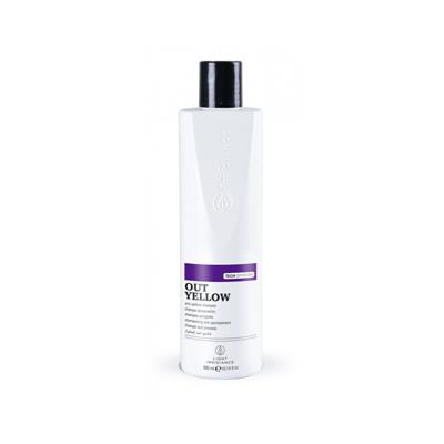 ANTIAMARILLO CHAMPÚ PLATINIUM TECH 300ML