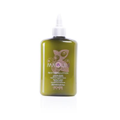 RESTORING MAQUI3 LOCIÓN REESTRUCTURANTE 250ML