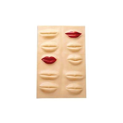 RECAMBIO LABIOS BIFULL
