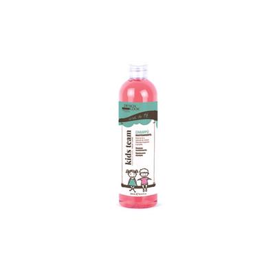 MANTENIMIENTO NIÑOS CHAMPÚ  300ML