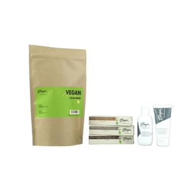 COLOR DREAM ESPECIAL CEJAS VEGAN LINE KIT