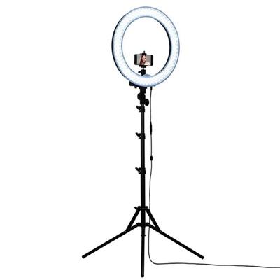 LUZ AJUSTABLE ARO 2 COLORES