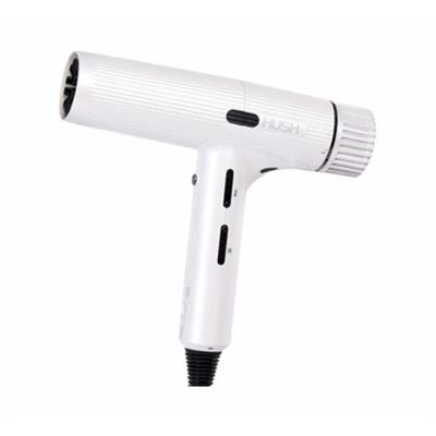  SECADOR IÓNICO PROFESIONAL RUNWAY HU600