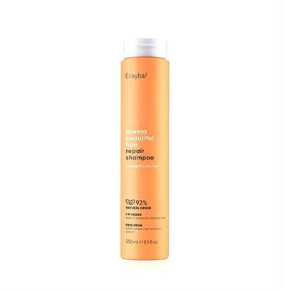 REPAIR SHAMPOO 250ML ABH