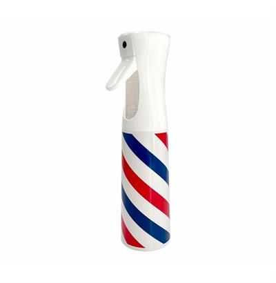BIG COLOR SPRAY 300ML BUKK