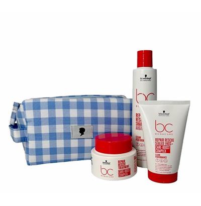 REPAIR 2025 BC PACK
