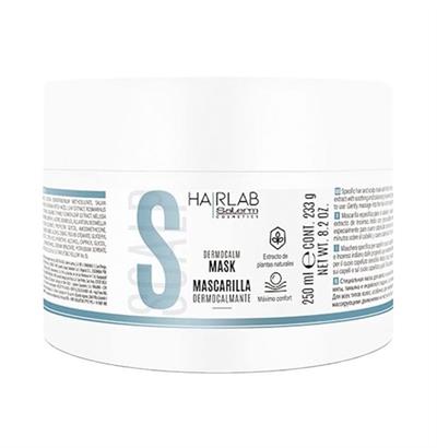 DERMOCALMANTE SALERM 250ML MASCARILLA