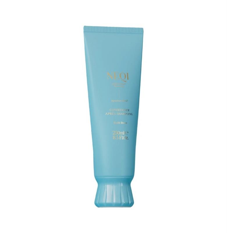 BUILD BOOST CONDITIONER NQ 250ML GL
