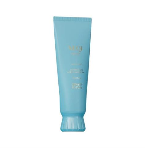 BUILD BOOST CONDITIONER NQ 250ML GL
