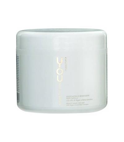 ARGAN MASCARILLA SHE 500ml