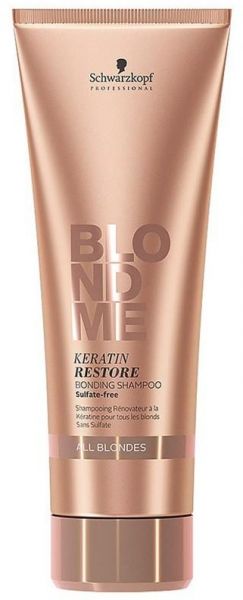 CHAMPU BLONDME TODOS RUBIOS 250ml