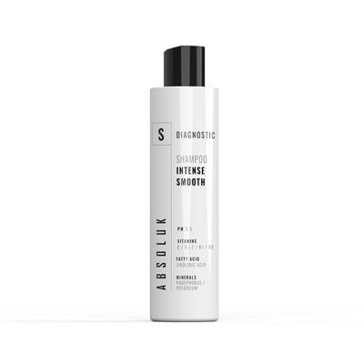 ABSOLUK INTENSE SMOOTH CHAMPÚ 300ml