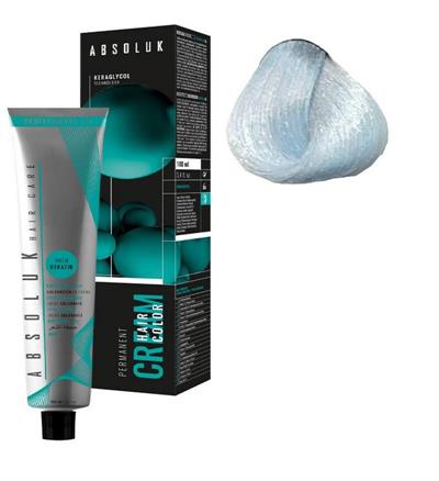 ABSOLUK TINTE NºP0.11 100ml