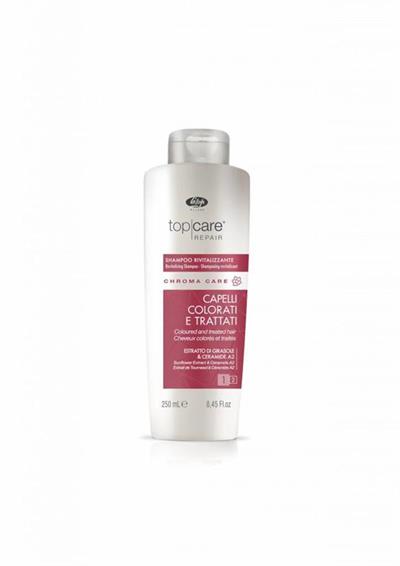 CARE REVITALIZANTE CHAMPÚ CABELLO COLOR TCR 250ml