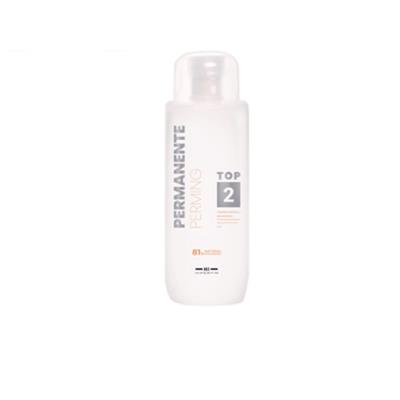 TOP2 PERMANENTE CABELLOS TEÑIDOS Y DECOLORADOS 500ML