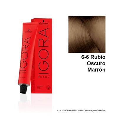 IGORA ROYAL 6-6 TINTE
