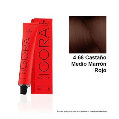 IGORA ROYAL 4-68 TINTE
