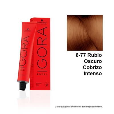 IGORA ROYAL 6-77 TINTE
