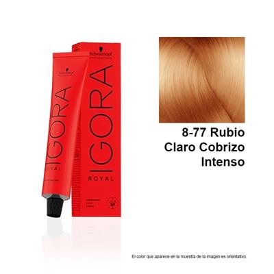 IGORA ROYAL 8-77 TINTE
