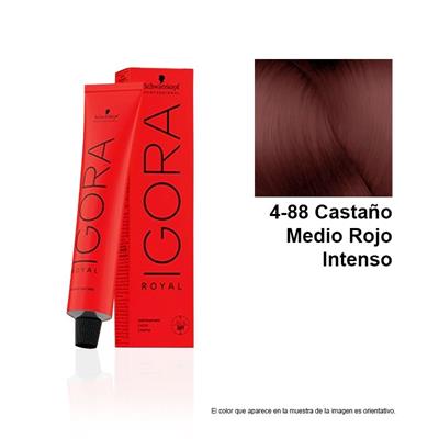 IGORA ROYAL 4-88 TINTE
