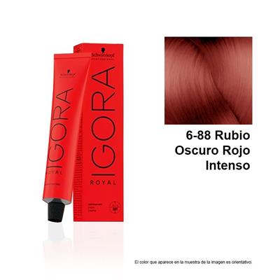 IGORA ROYAL 6-88 TINTE

