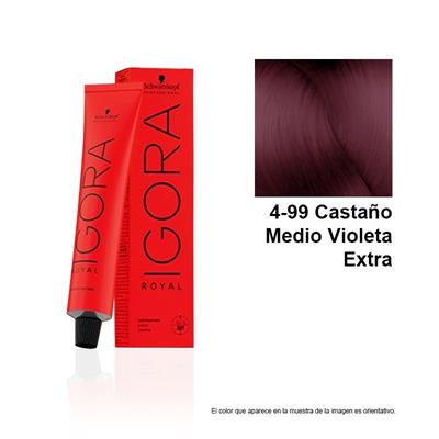 IGORA ROYAL 4-99 TINTE
