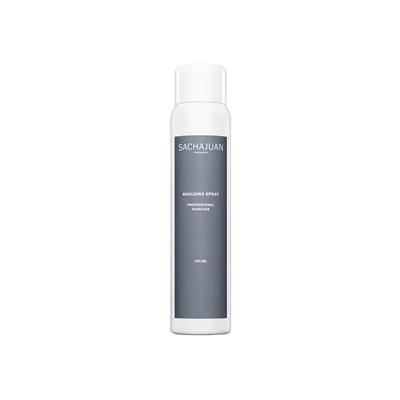 SPRAY MOULDING 125ML