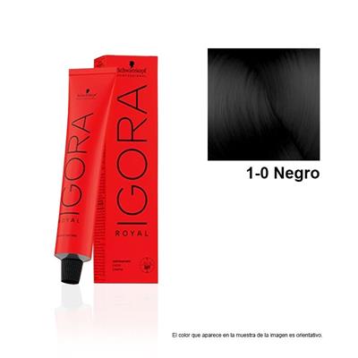 IGORA ROYAL 1-0 TINTE

