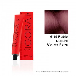 IGORA ROYAL 6-99 TINTE
