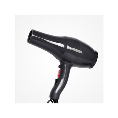 PLUMA SECADOR PRO BLACK