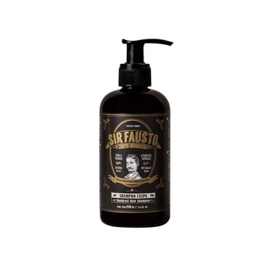 CASPA MAGISTRAL SHAMPOO 250ML
