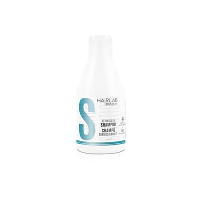 DERMOCALMANTE CHAMPÚ SALERM 300ML
