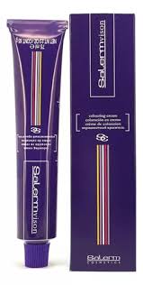VISION TINTE 75ML SALERM
