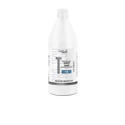 REPARADOR PURIFICANTE CHAMPÚ SALERM 1200ML
