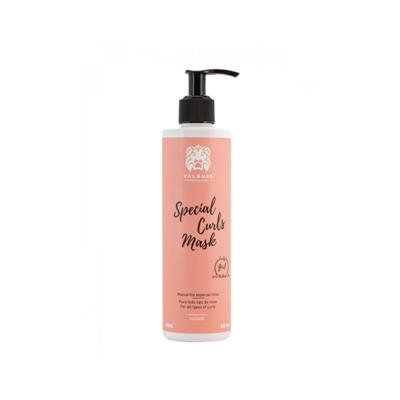 VALQUER ESPECIAL RIZOS MASCARILLA 290ML
