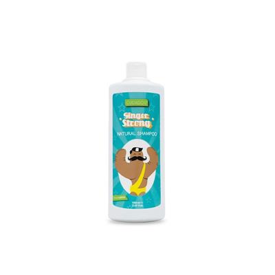 GINGER STRONG CHAMPU 1000ML
